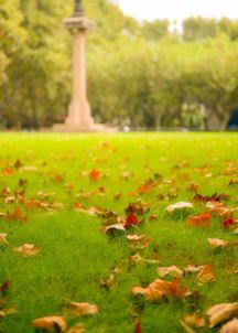 大自然的春与秋