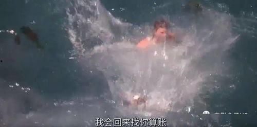 错位人生之浴火繁花,浴火繁花中的命运交响曲