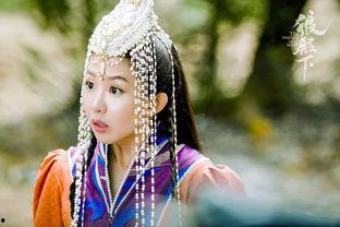 狼殿下,乱世英雄的传奇征程