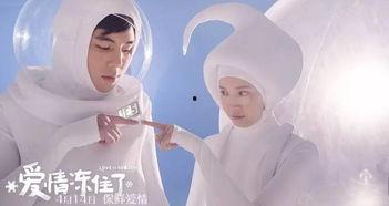 爱情冻住了 我的蛋男情人,蛋男情人的冰点情感之旅